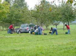 Obsternte Und Maischen 2012 09